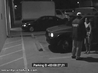 Parking Lot Affectation Mishandle At the end of one's tether A Security Camera